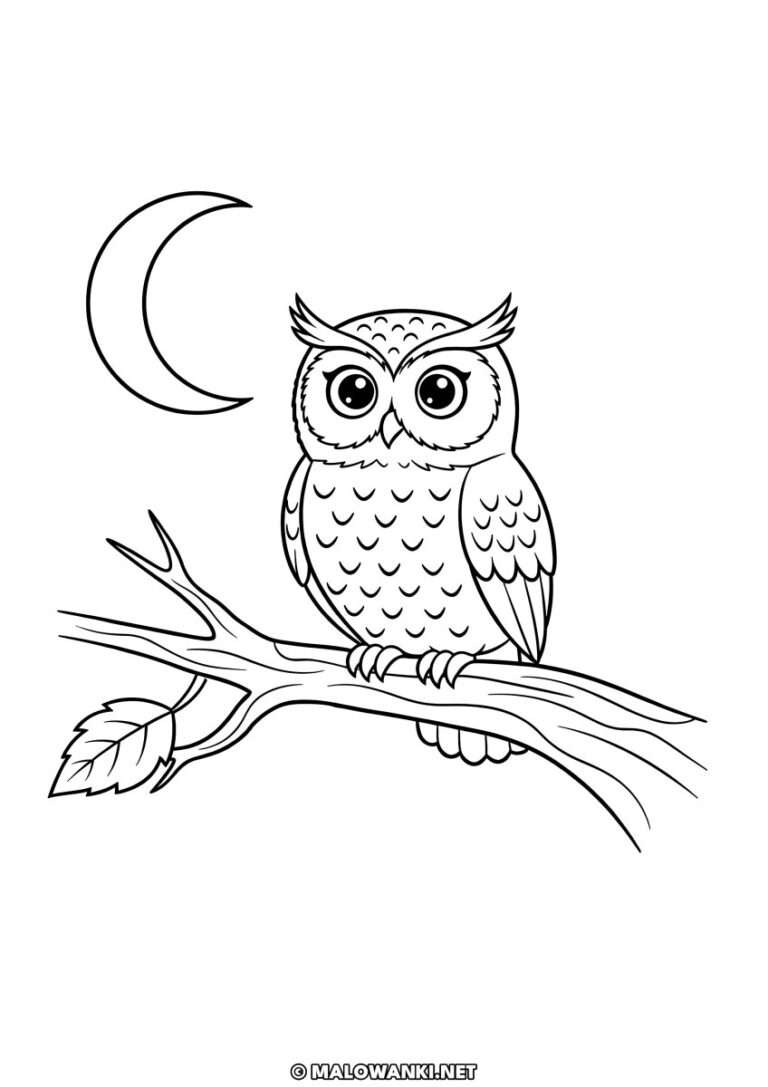 Kolorowanka - sowa nocą i listkiem jesiennym